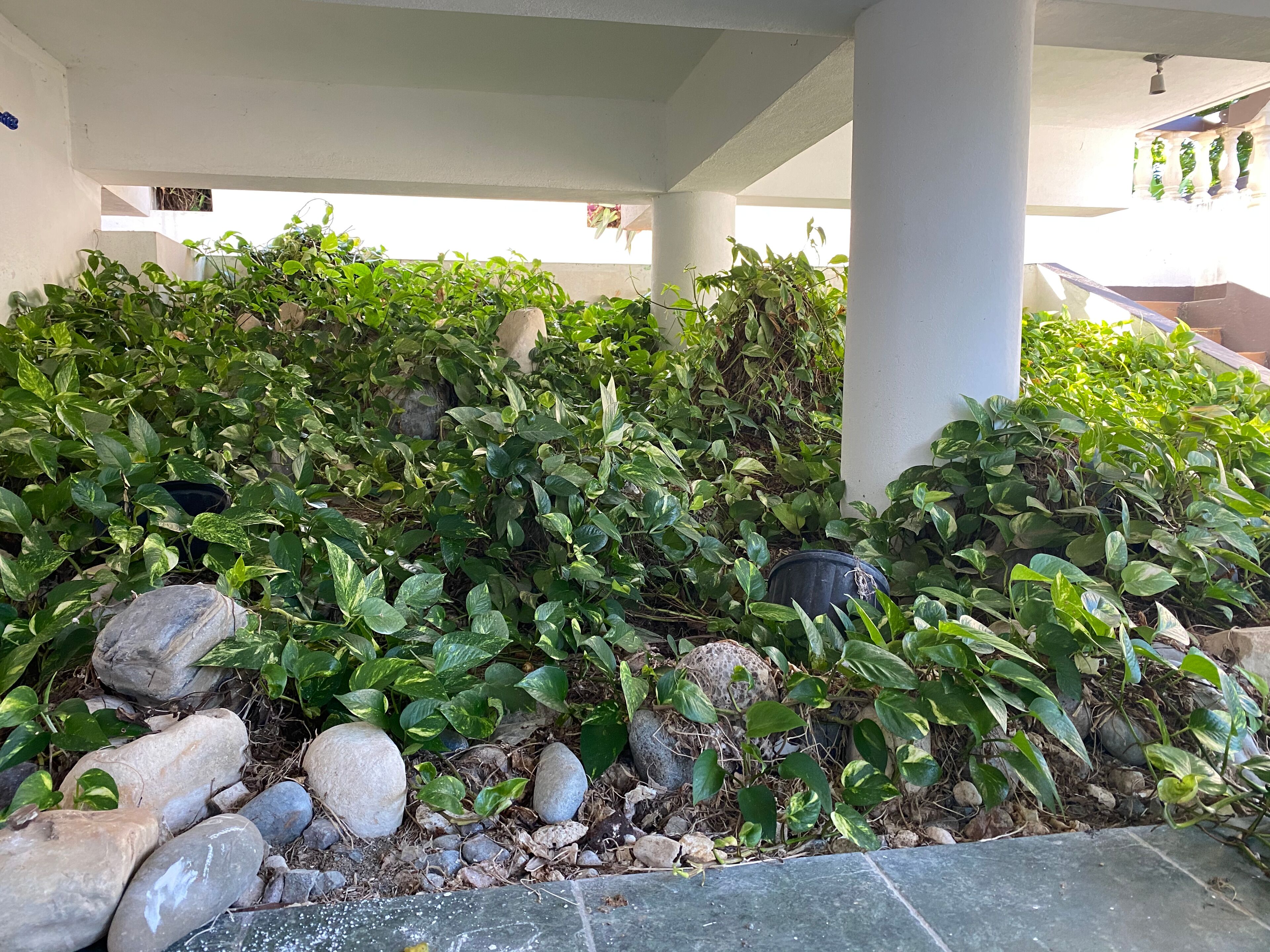 A covered outdoor area with a rock and plant barrier, columns, and a tiled floor.