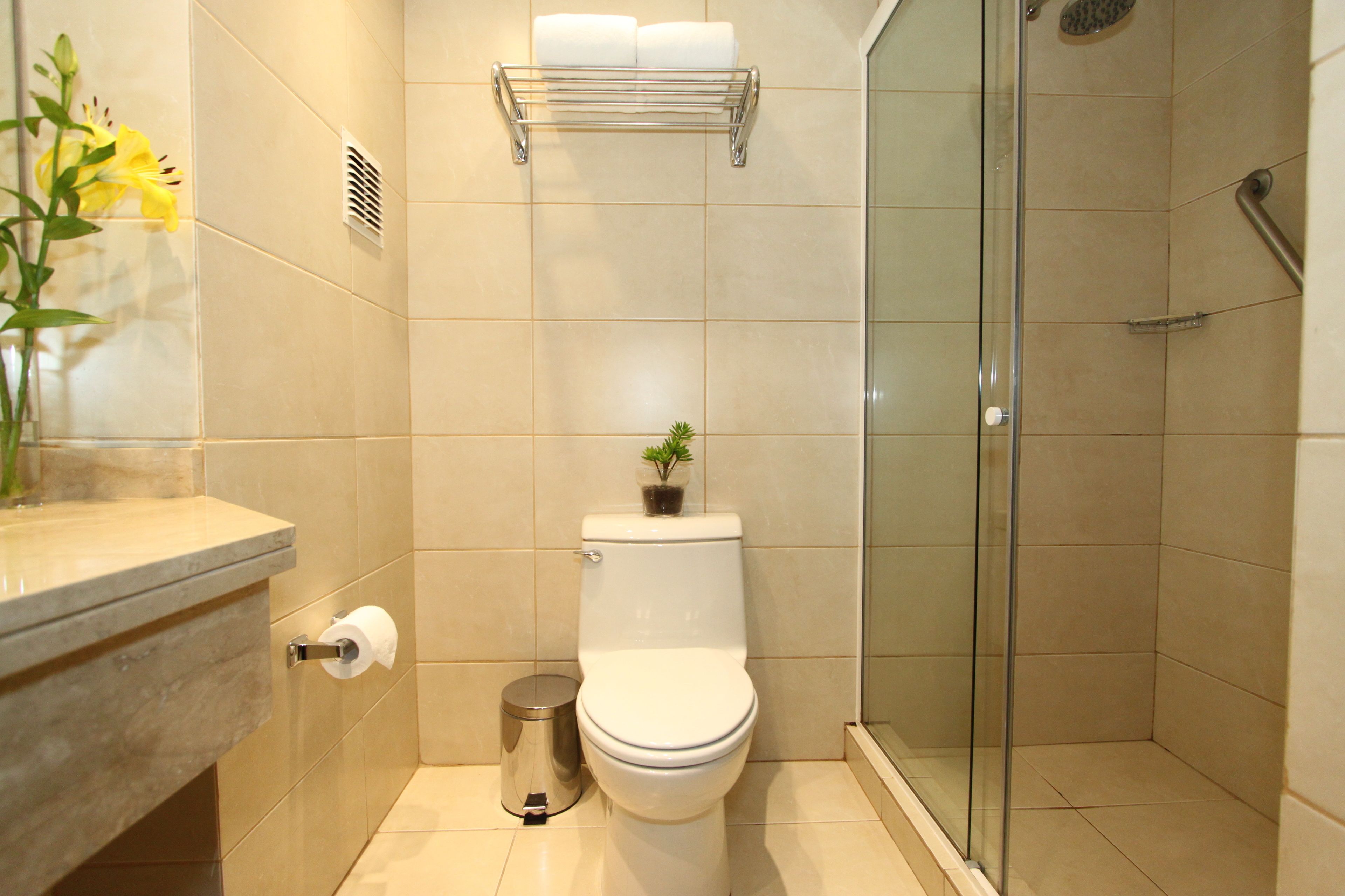 shower, free toiletries, hair dryer, towels