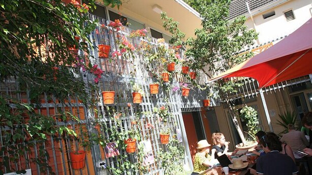 A courtyard with a metal fence adorned with potted plants and flowers. - Original Backpackers (Potts Point)