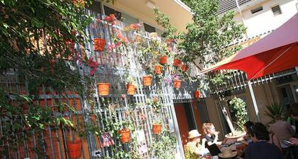 Original Backpackers