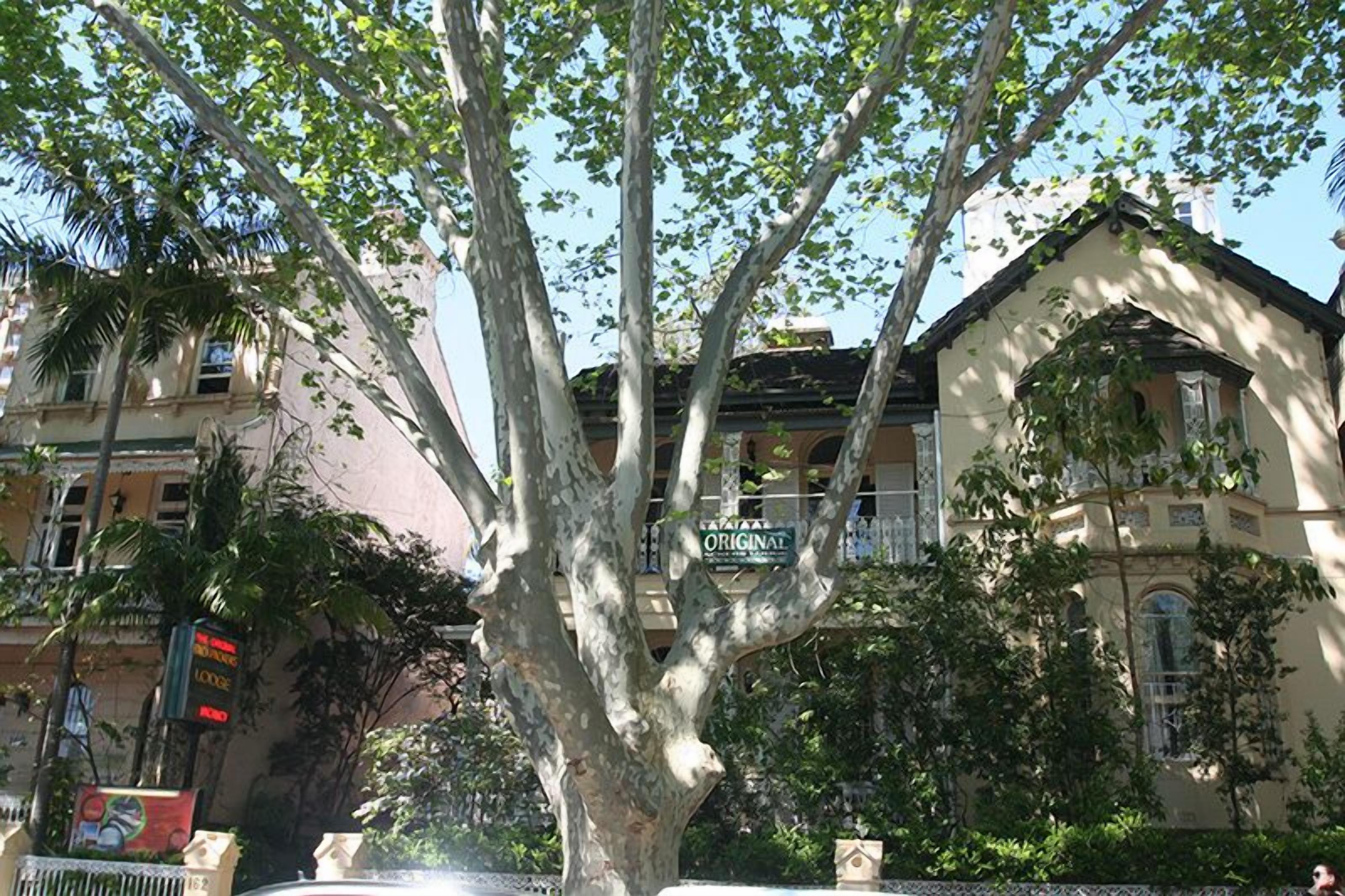 Photo - Original Backpackers