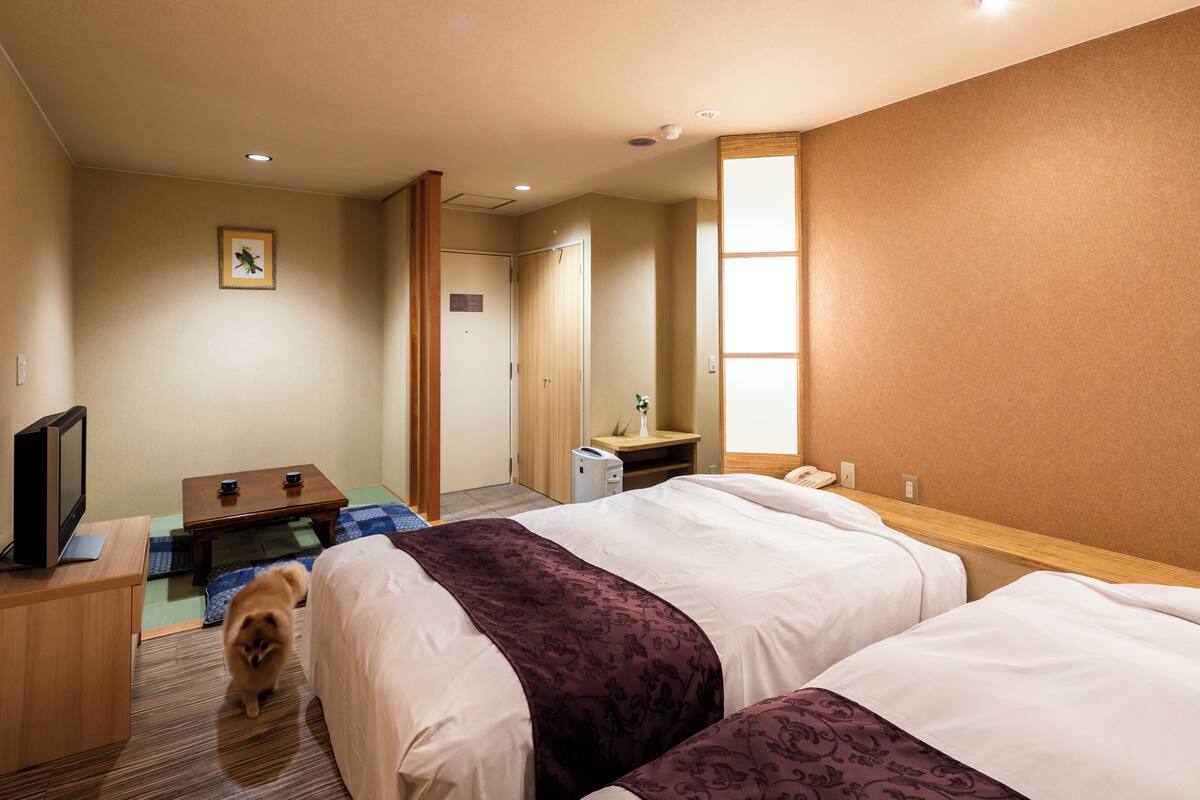Hotelkamer met twee bedden, een bureau met computer, televisie en een klein tafeltje met een plant.