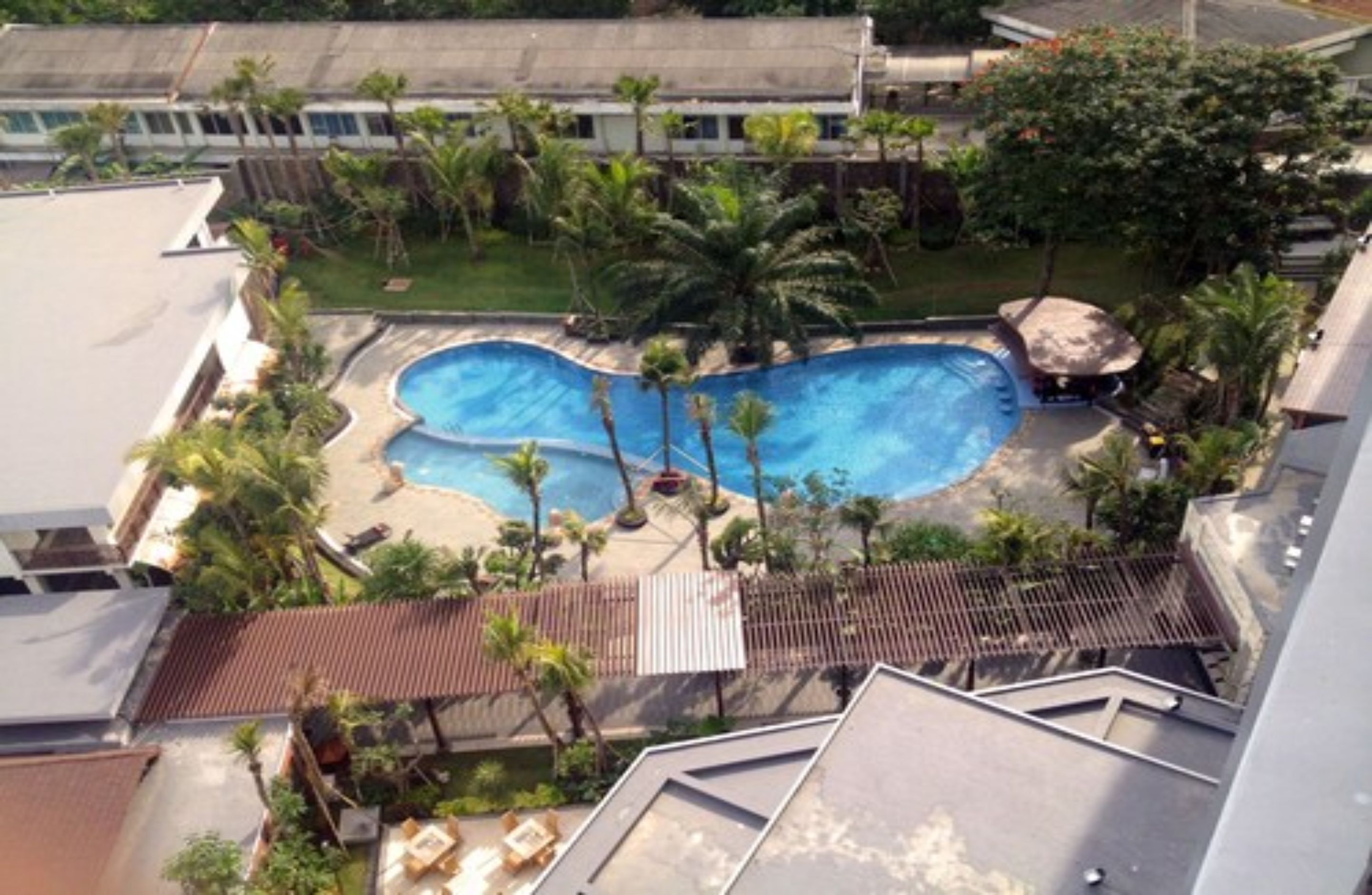 A rooftop swimming pool surrounded by palm trees and a building.