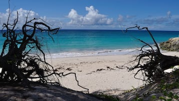 Playa en los alrededores, playa de arena blanca, snorkel y windsurf 