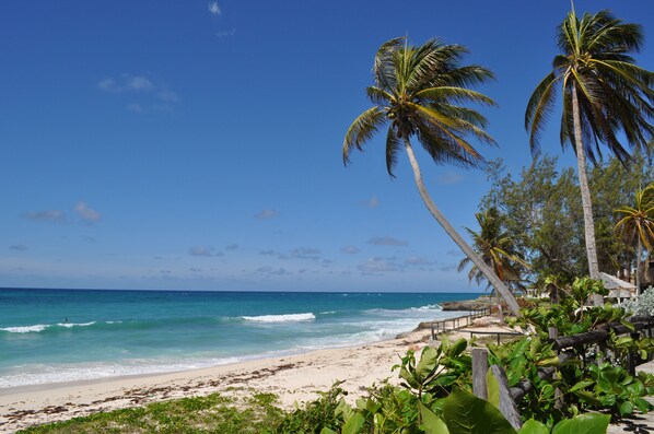 Playa en los alrededores, playa de arena blanca, snorkel y windsurf 