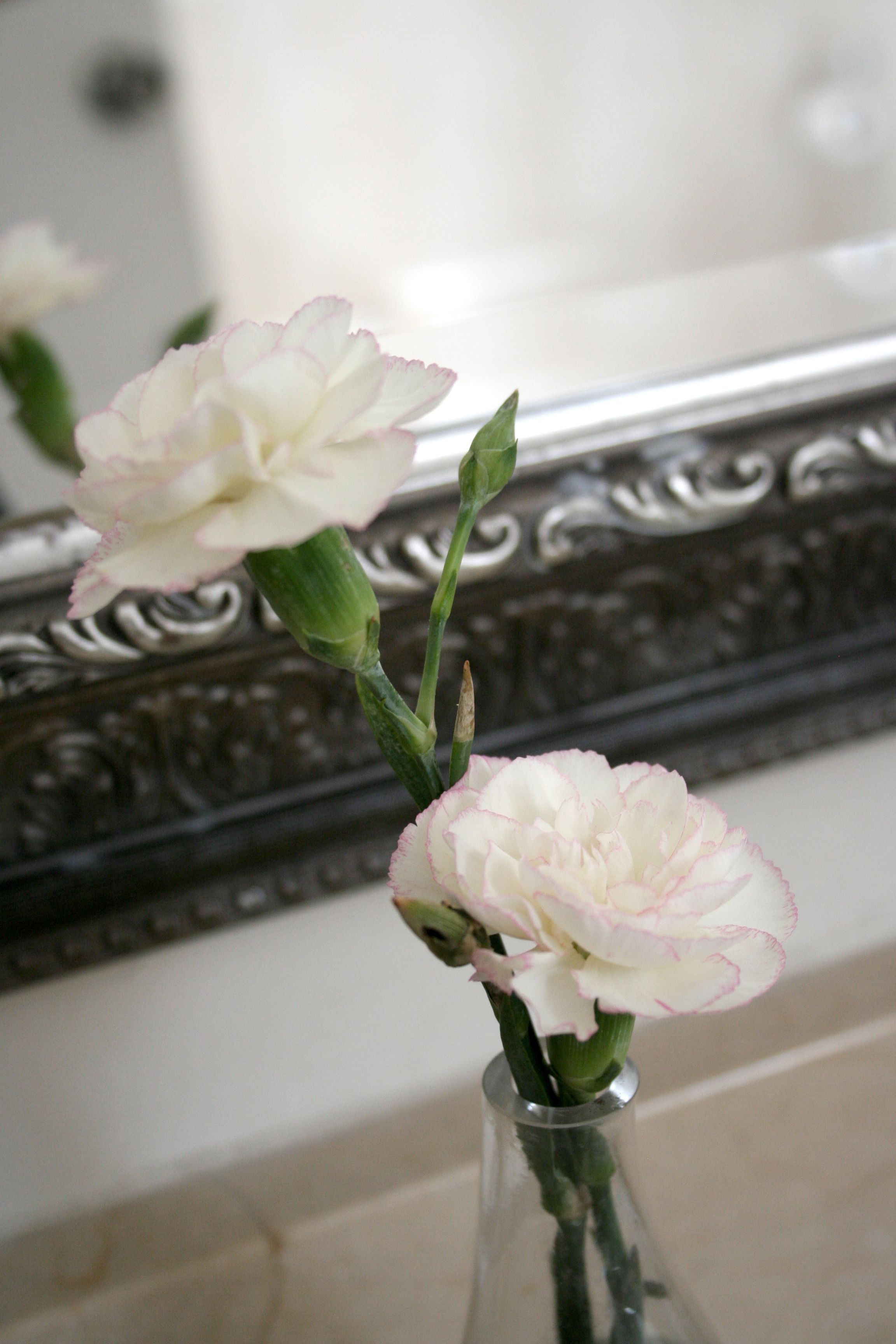 A vase with flowers on a reflective surface.