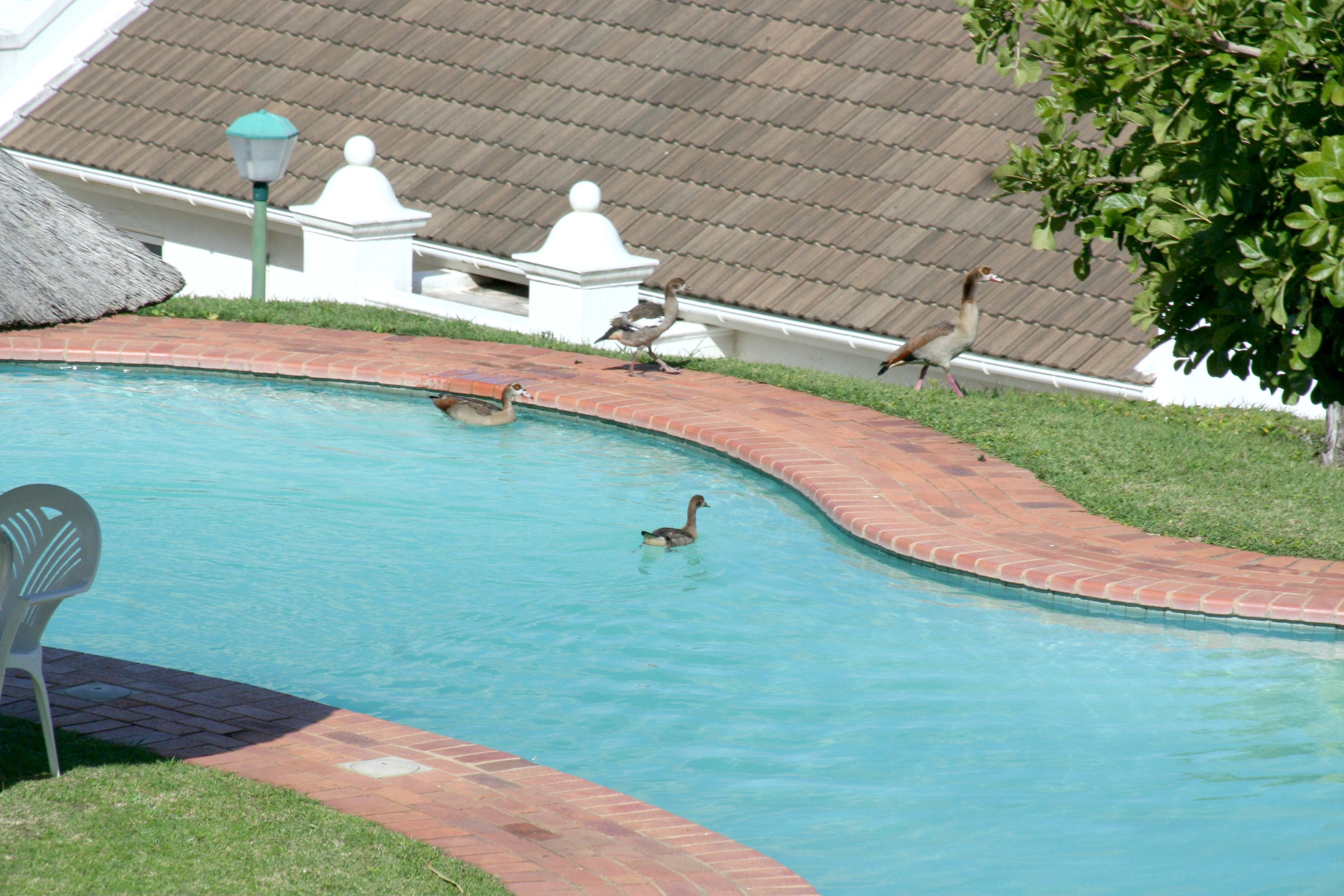 Kolam renang outdoor