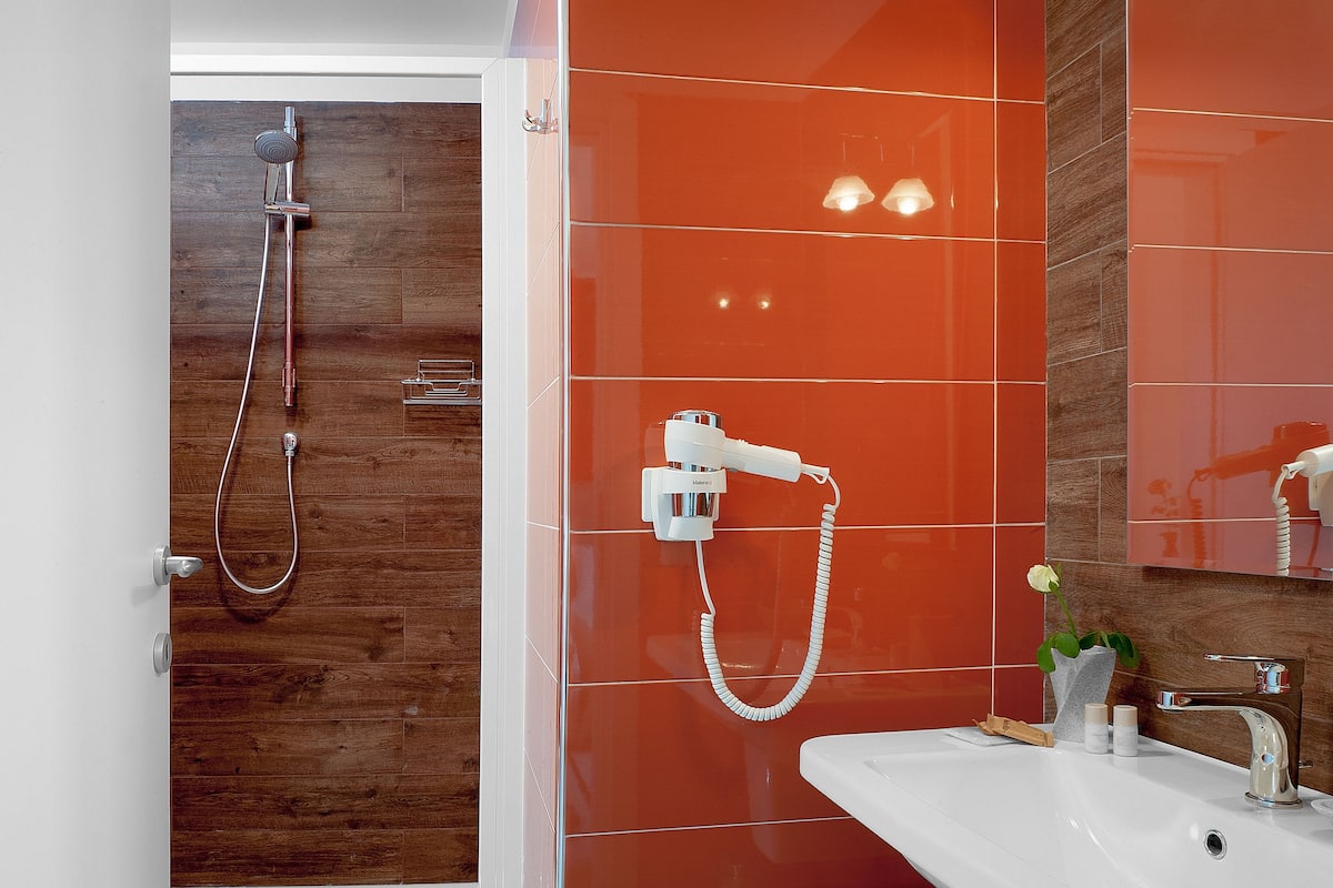 Shower, free toiletries, hair dryer