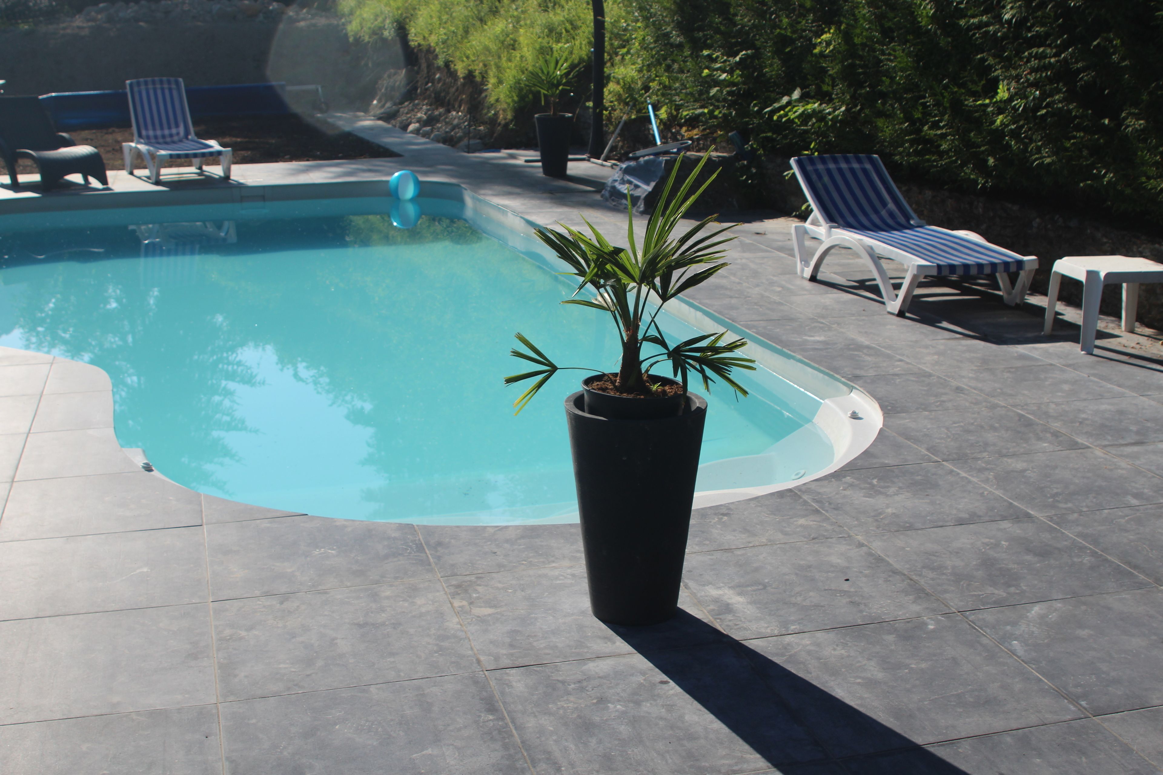 Une piscine avec des chaises longues et une plante en pot.