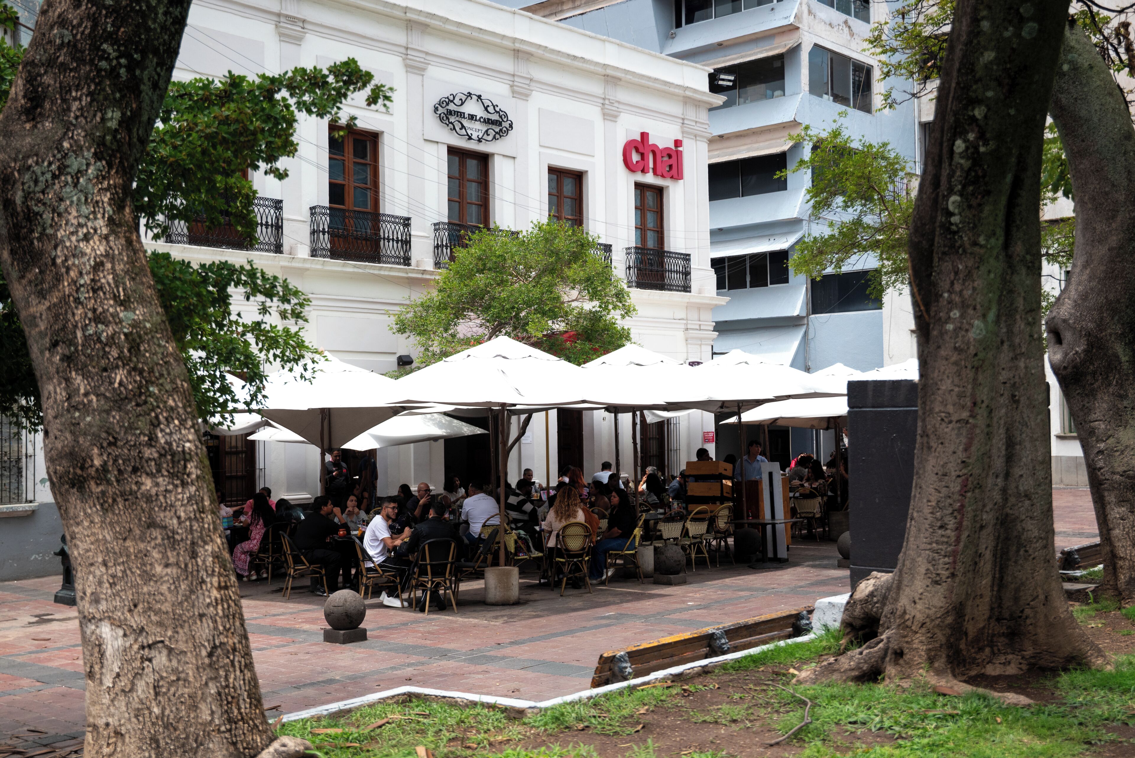 Foto - Del Carmen Concept Hotel