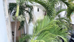 Une cour bordée de palmiers, un bâtiment blanc et un véhicule garé.