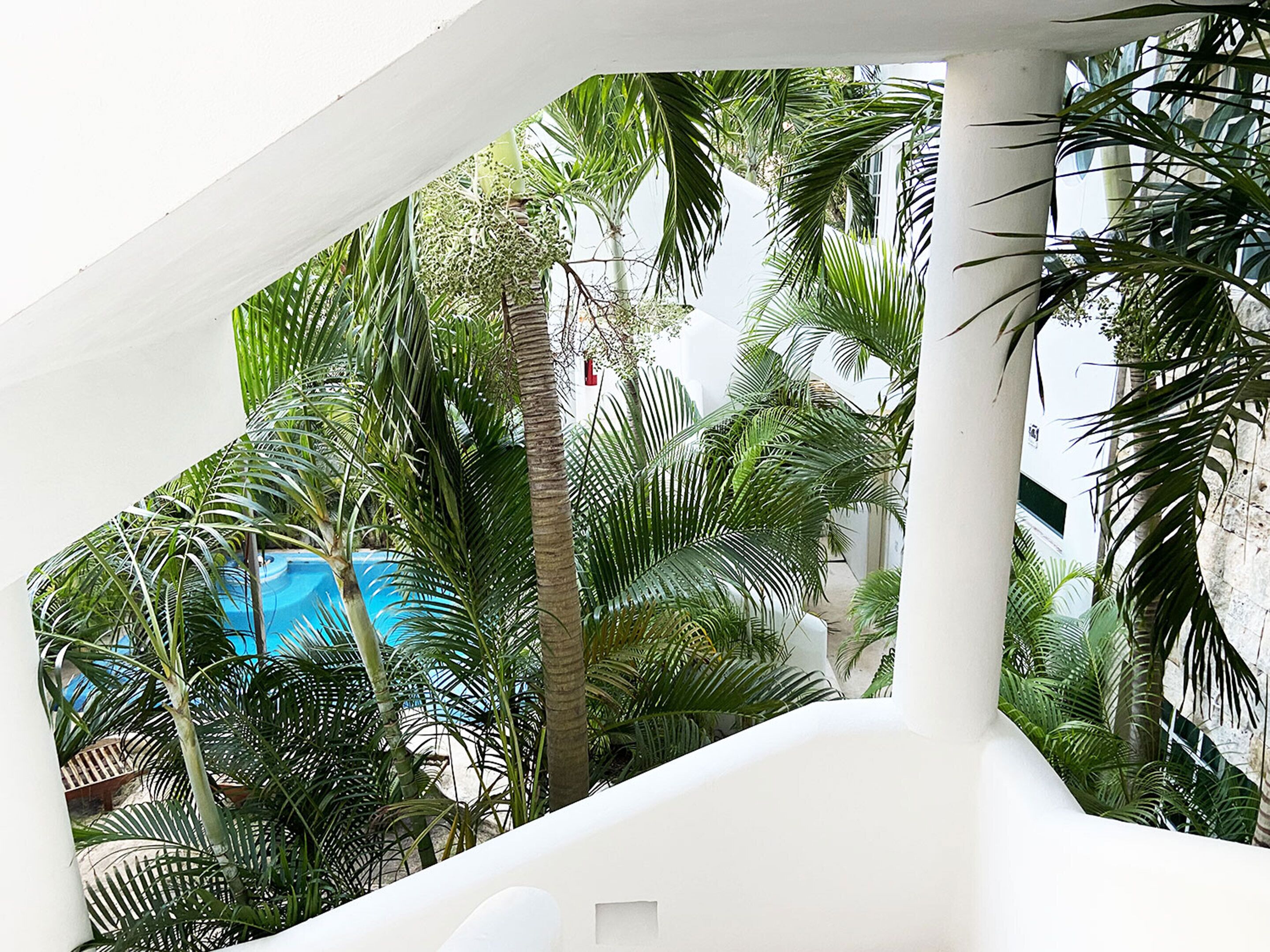 A modern architectural structure with a white facade and a view of lush tropical foliage.