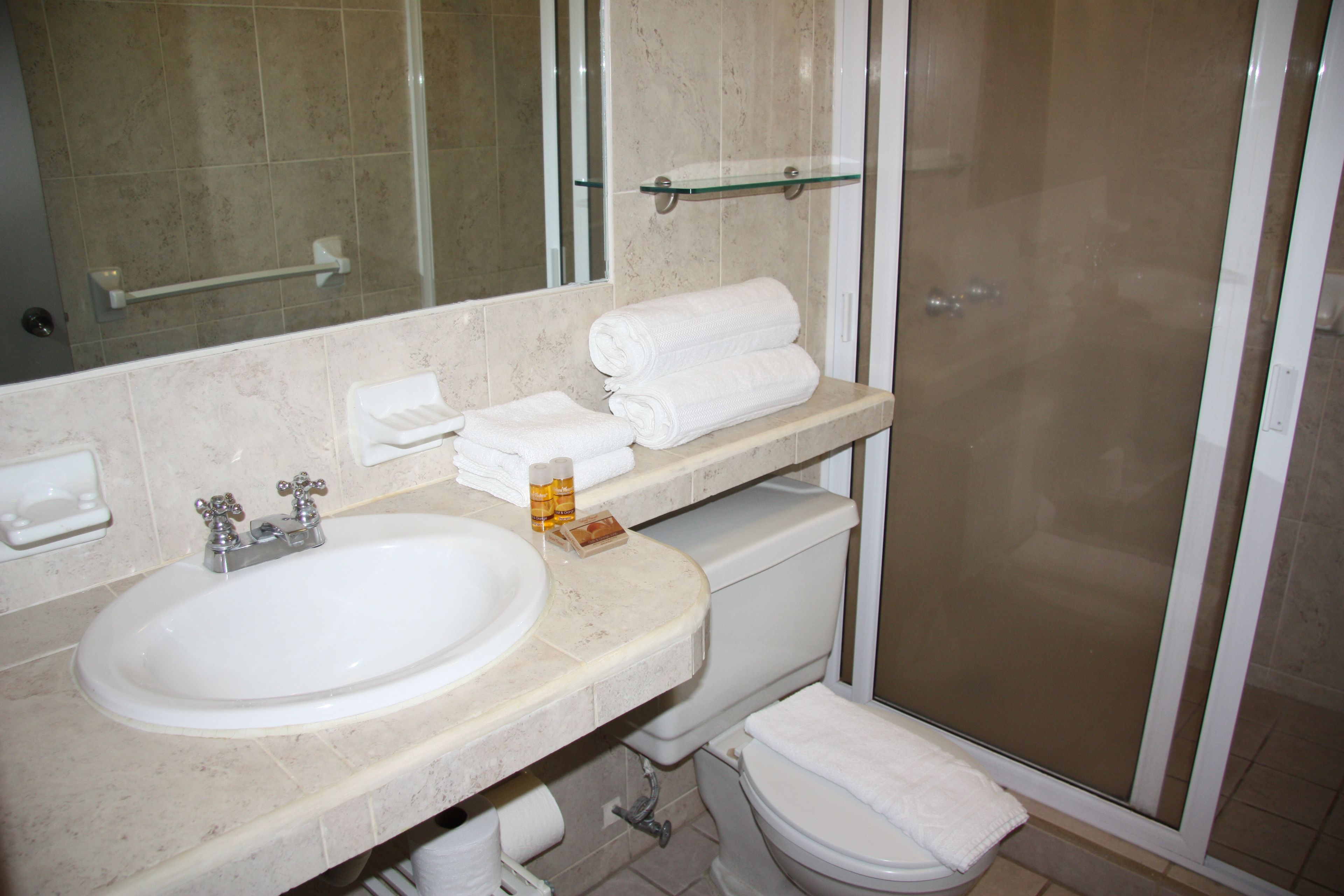 Een badkamer met een wastafel, spiegel, toilet en douche.