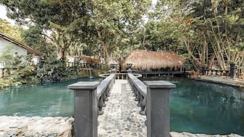 Vistas al lago