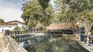 A tranquil garden with a stone bridge over a pond, surrounded by lush greenery and a thatched-roof structure. - Hotel Quimbaya (San Jerónimo)