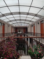 Televisión