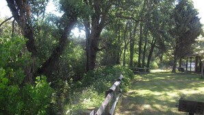 Property grounds - Creekside Lodge (Kelseyville)