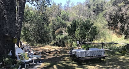 Creekside Lodge