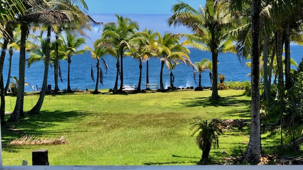 A grassy area with palm trees and a view of the ocean. - Ala Kai Bed & Breakfast (Keaau)