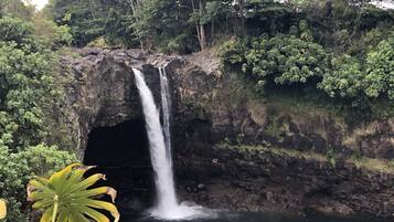 A waterfall cascading into a dark pool surrounded by dense foliage.
