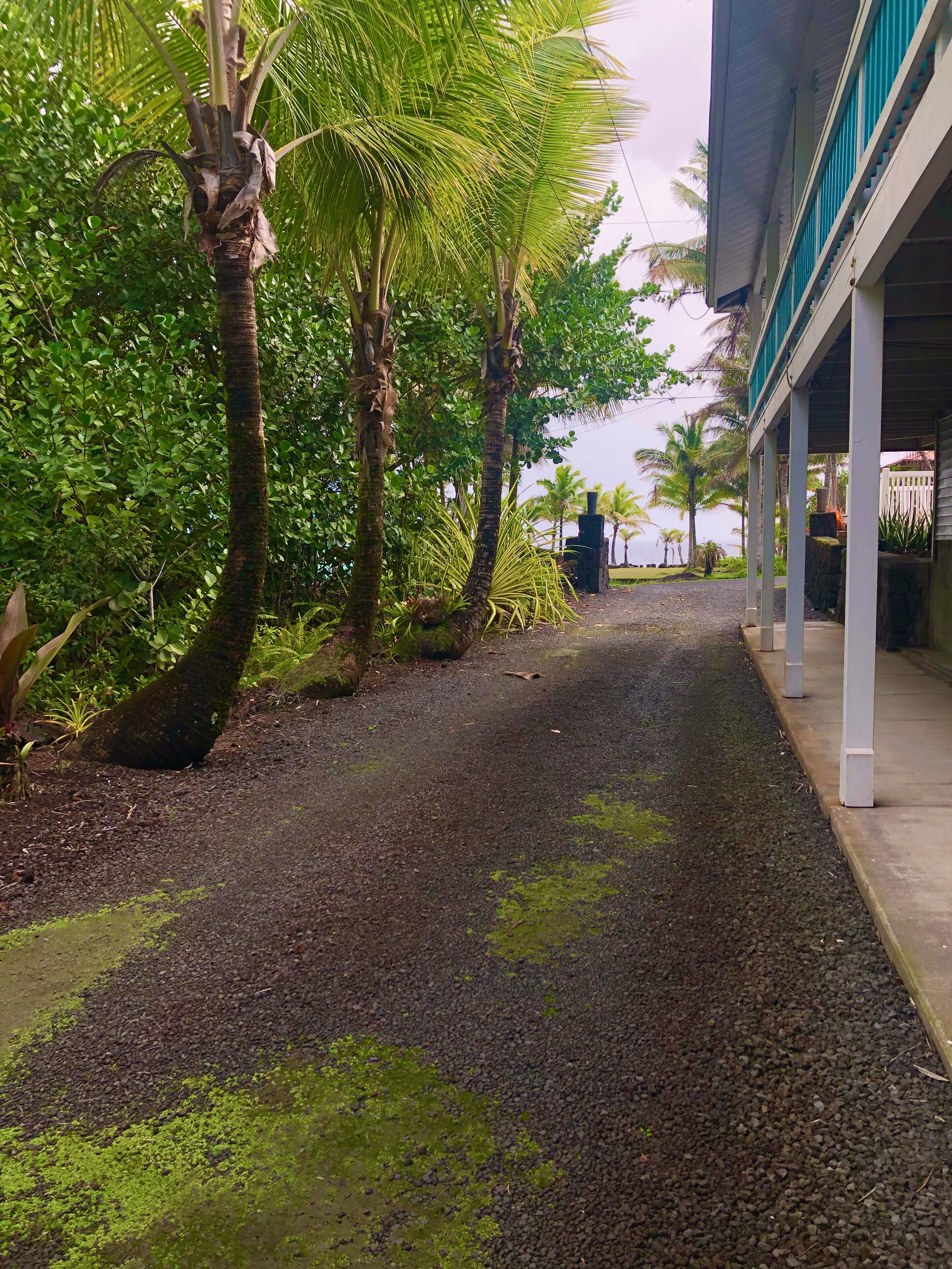 Vistas desde la habitación