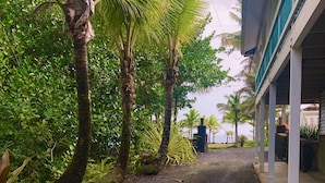 A pathway leading to a building with a covered porch area, surrounded by lush greenery and palm trees. - Ala Kai Bed & Breakfast (Keaau)