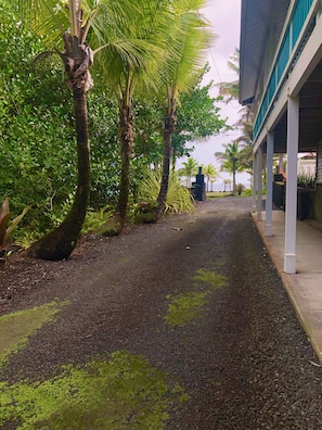 View from room - Ala Kai Bed & Breakfast (Keaau)