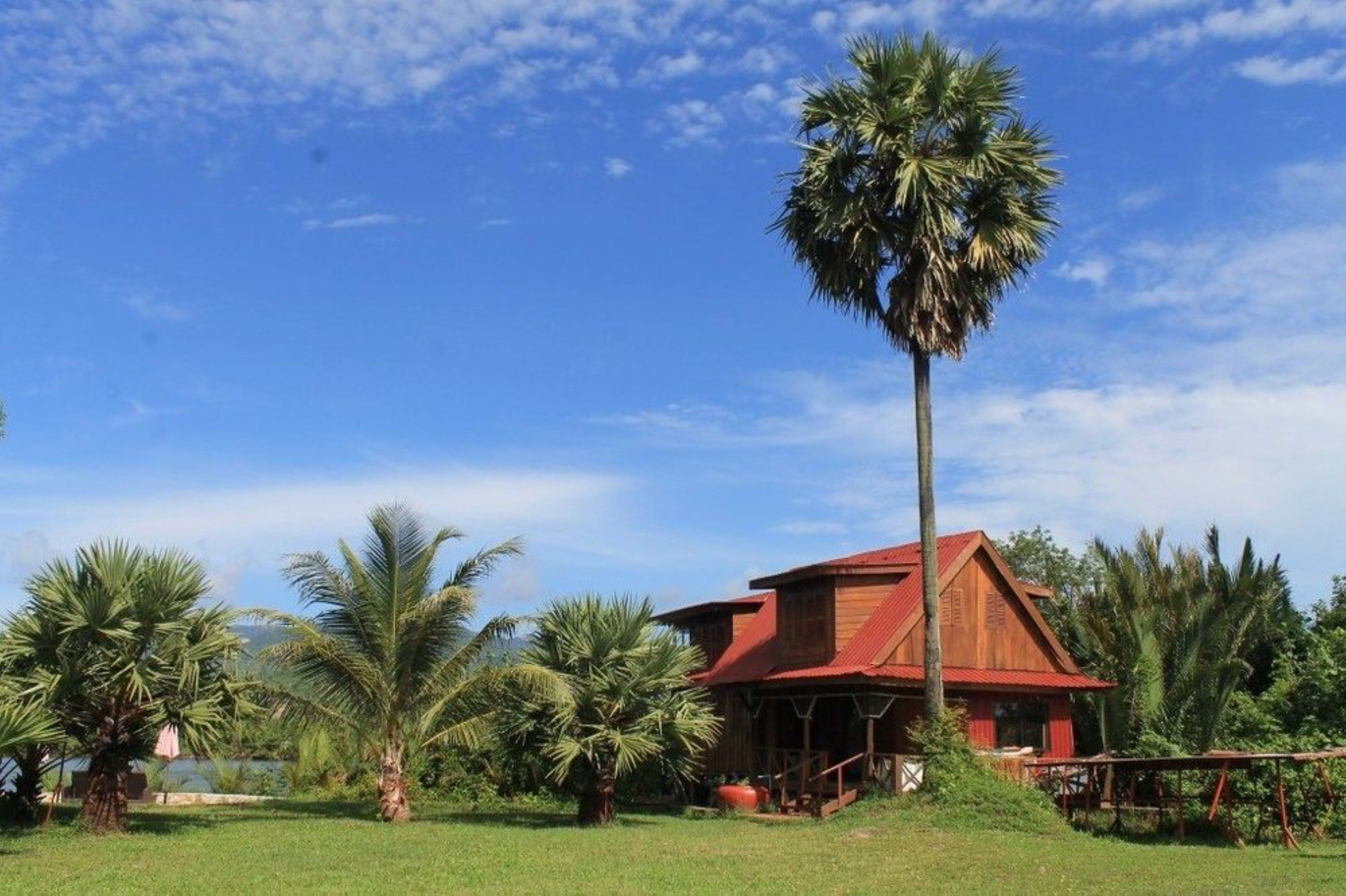 Superior Family Suite  | View from room