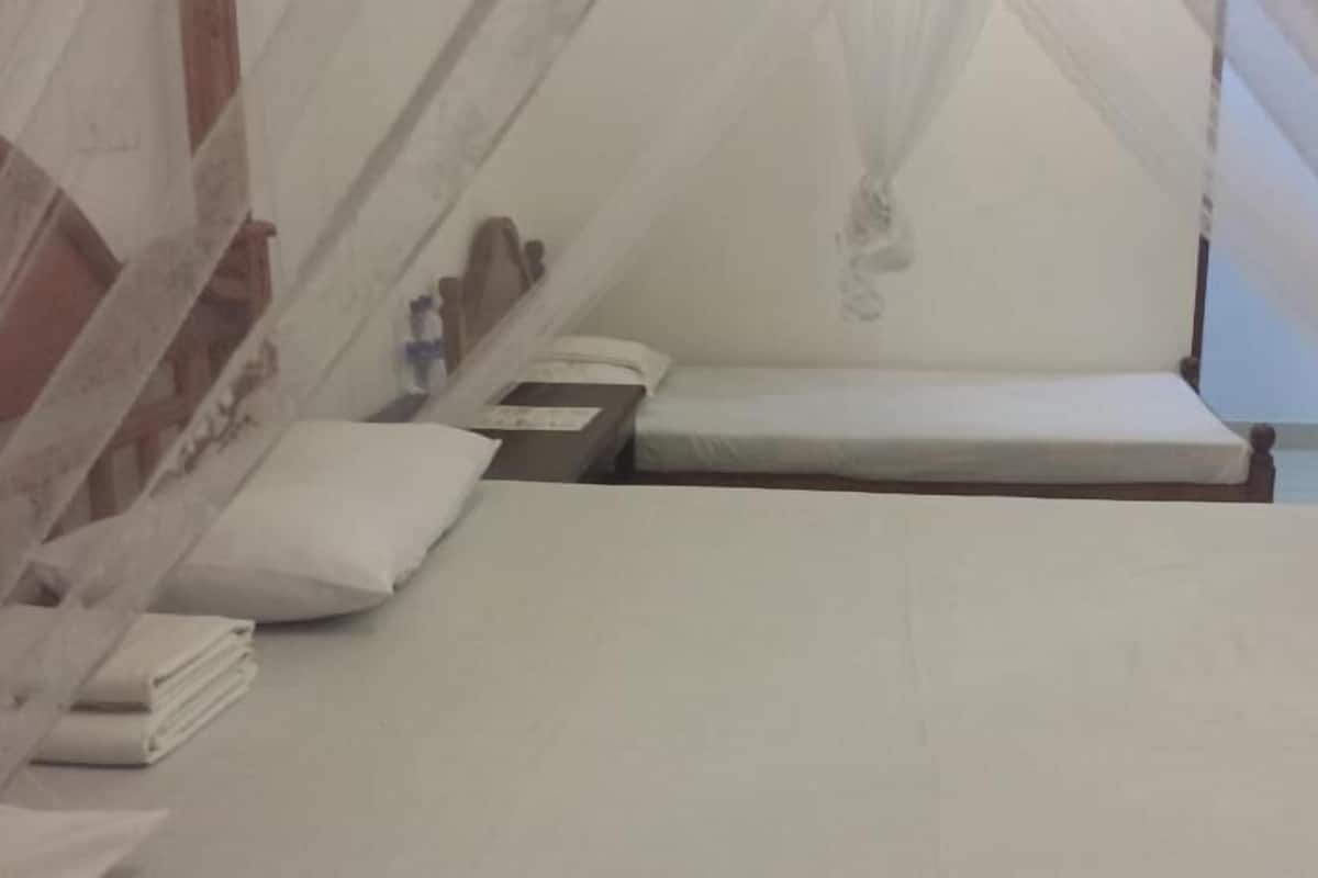 A single bed with a white mattress and a canopy.