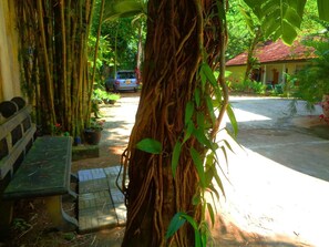 Khuôn viên nơi lưu trú