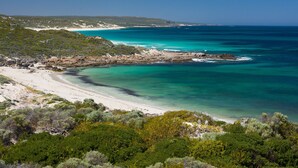 Un paisaje costero con una playa, aguas turquesas cristalinas y vegetación verde.