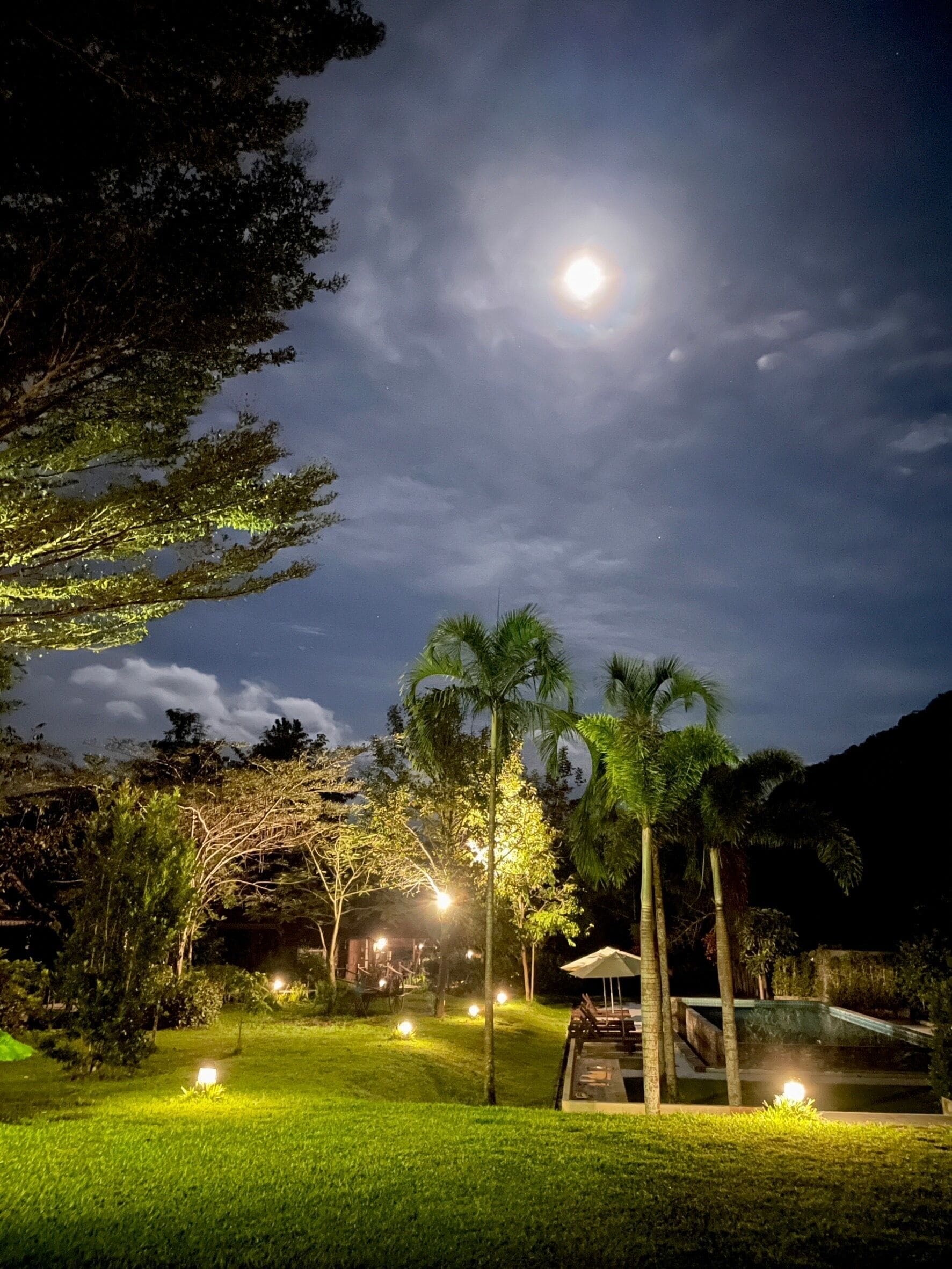 Jardim