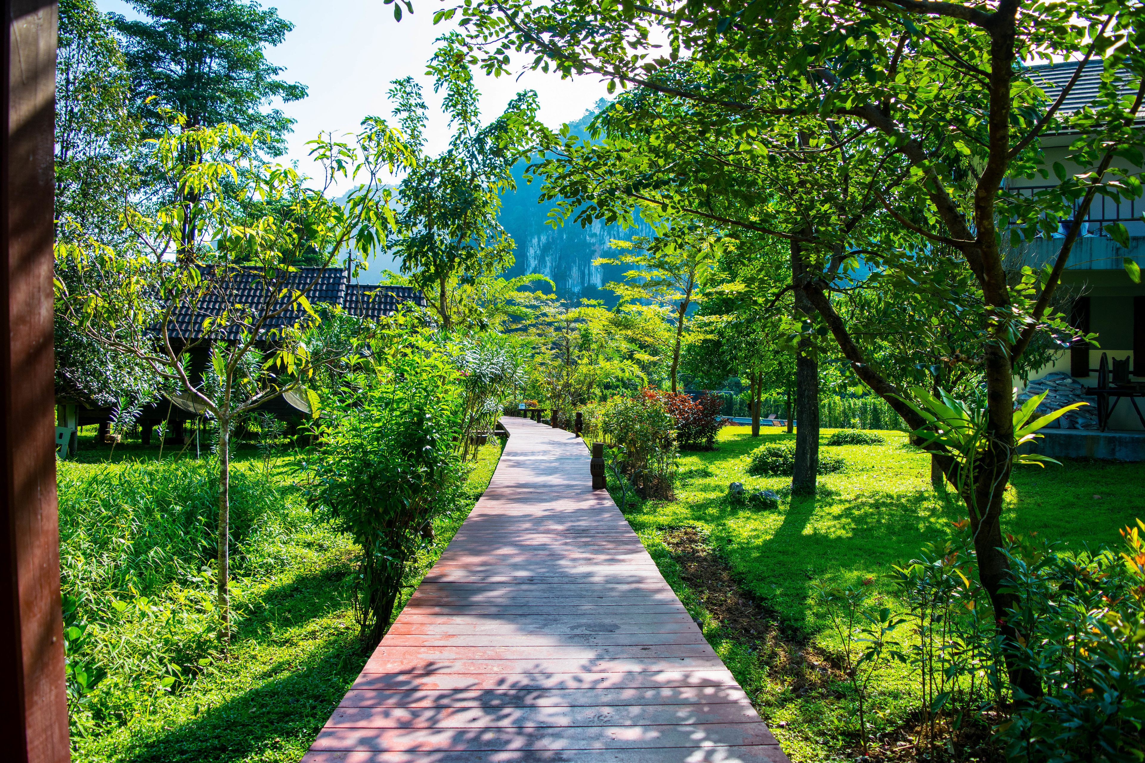 signature room | mountain view