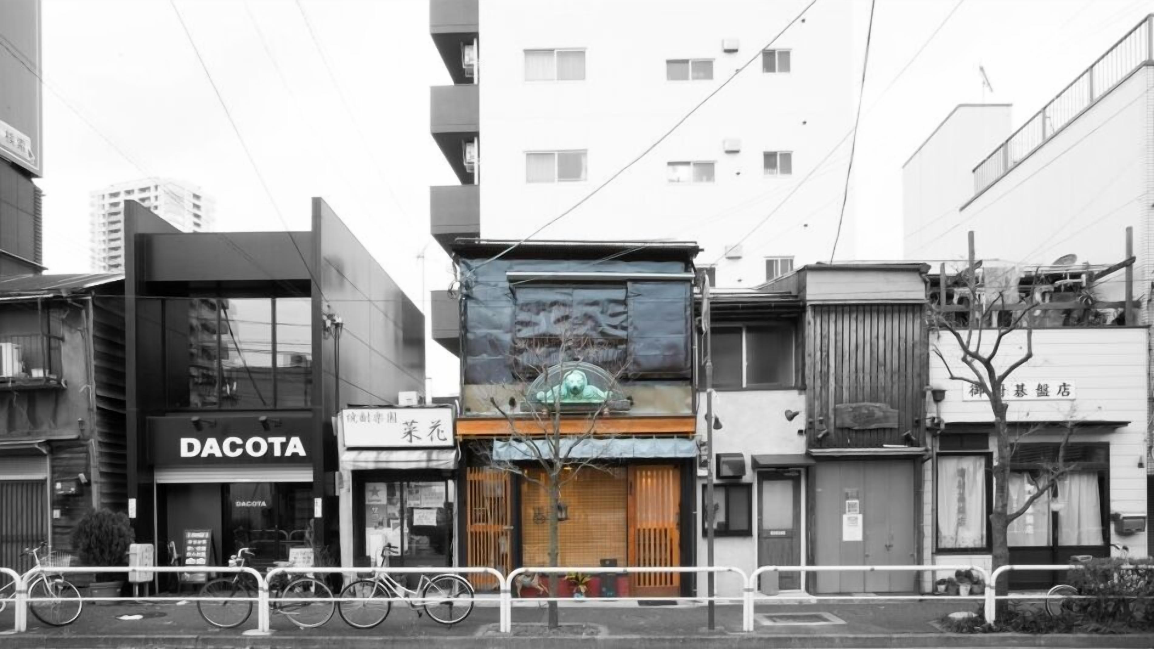 外觀