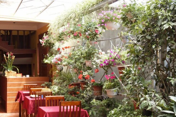 Phòng Superior | Quang cảnh vườn