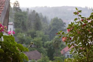 A view of a garden with pink flowers and green foliage, with buildings and trees in the background. - Sapa Local House (Sa Pa)