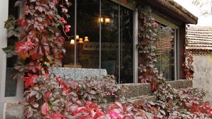 A building with large windows, steps leading up to the entrance, and decorative plants. - Assos Nar Konak (Ayvacik)