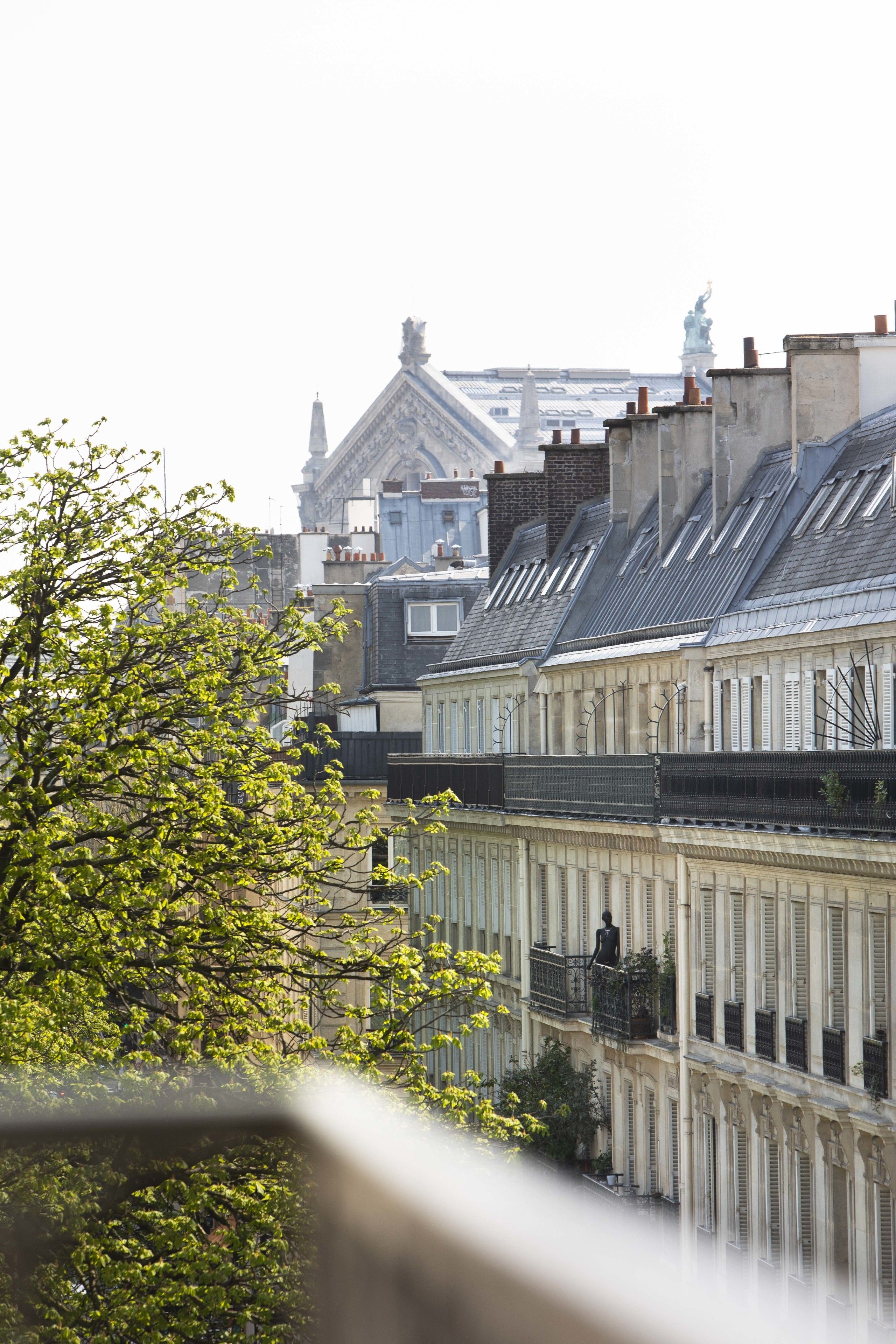 deluxe room | view from room