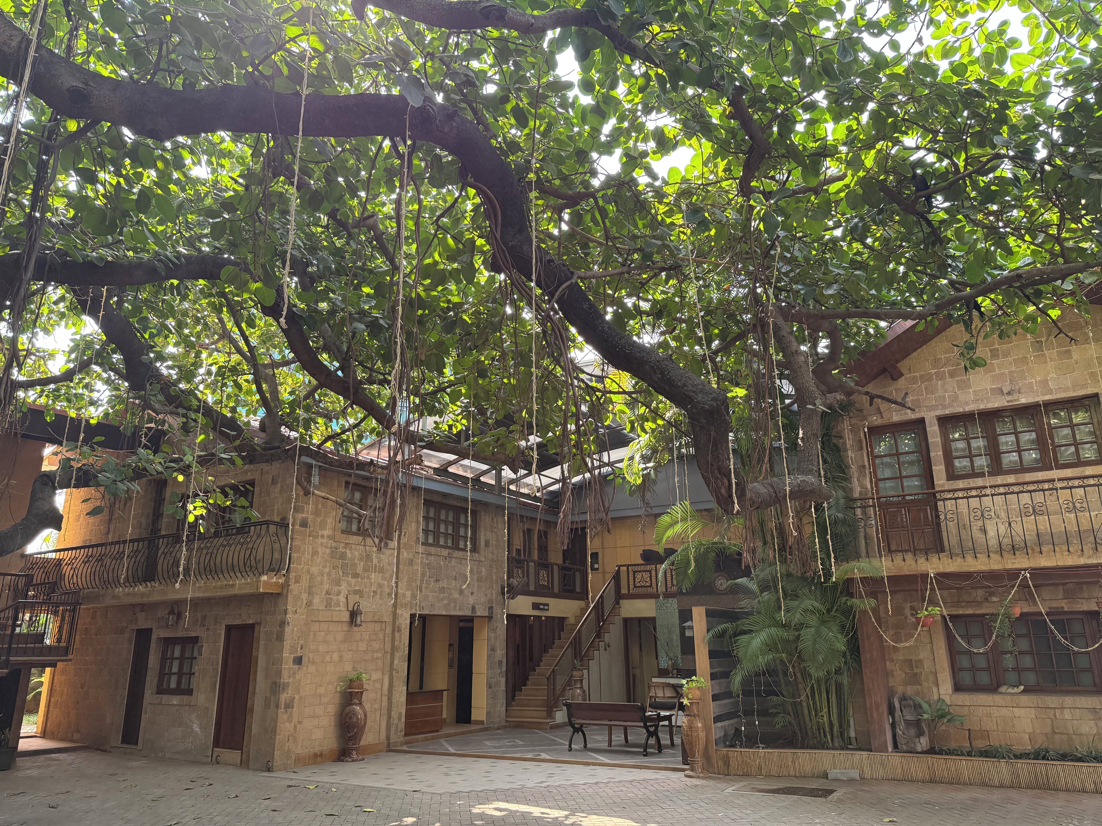 Photo - Hotel Beach Garden