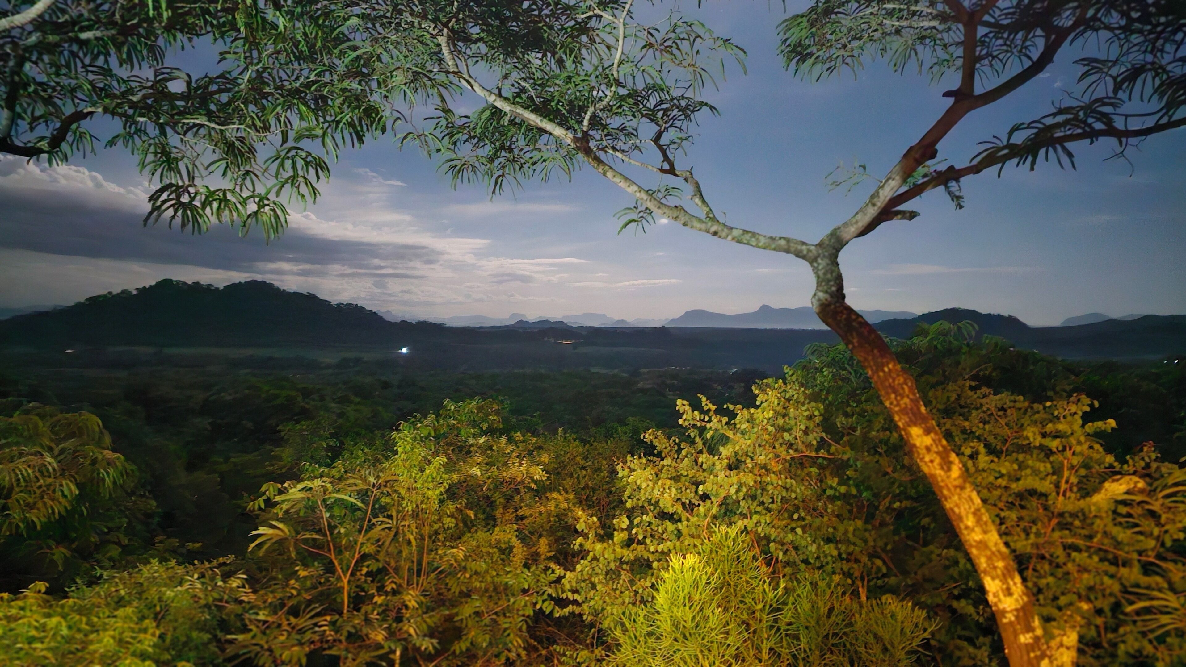 Une vue panoramique avec un arbre au premier plan, une chaîne de montagnes lointaine et un ciel nuageux.