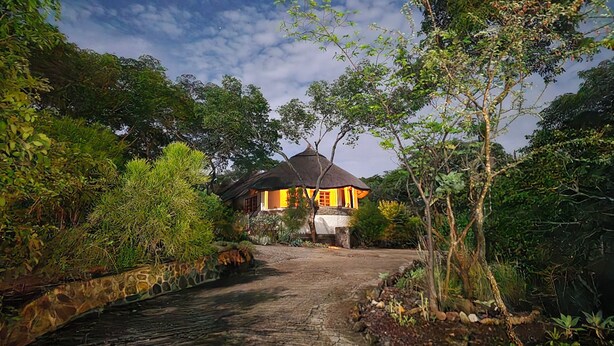 A house with a thatched roof surrounded by lush greenery and a stone pathway leading to it.
