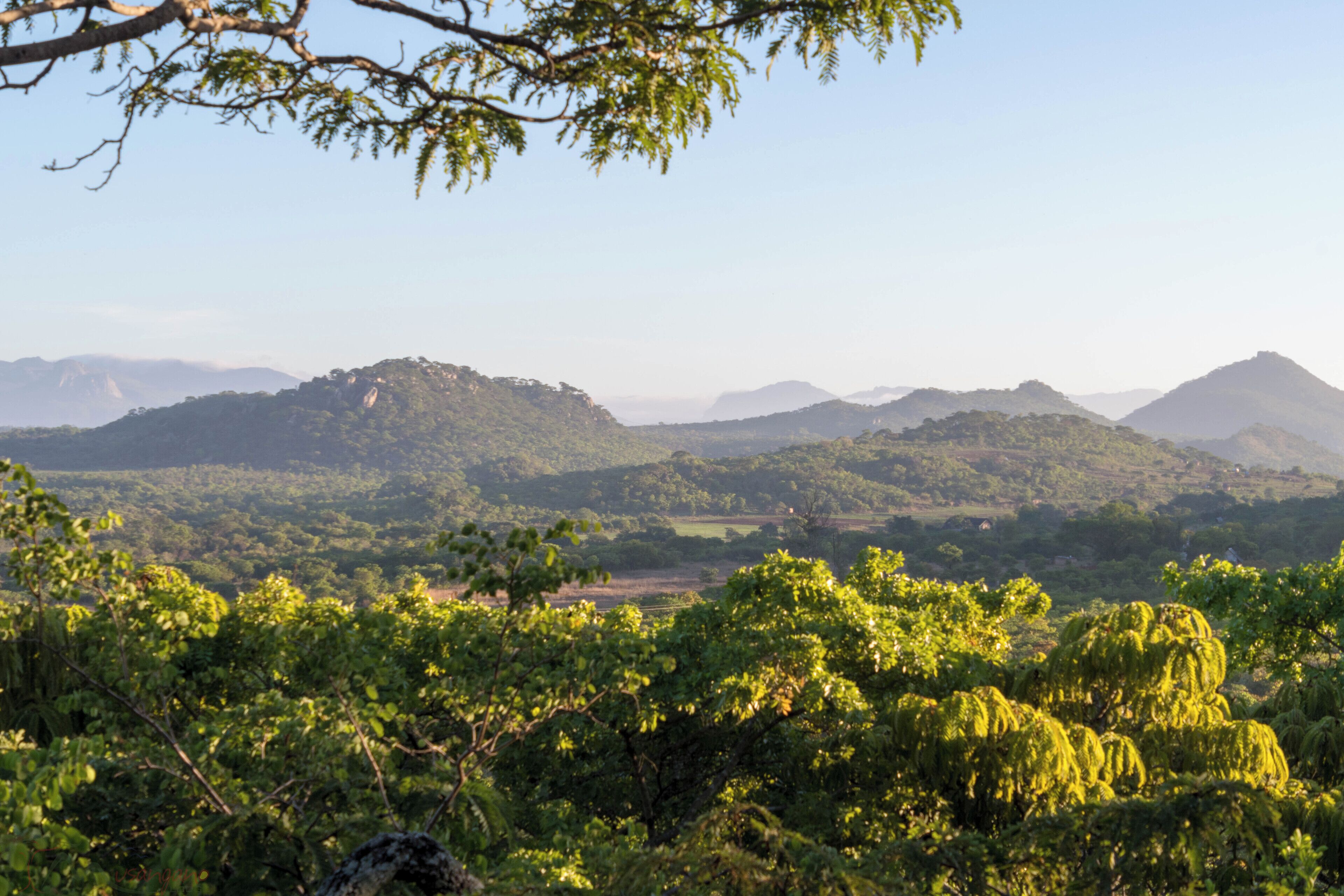 A landscape with dense greenery and hills in the background.