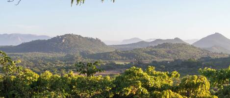 A landscape with dense greenery and hills in the background.