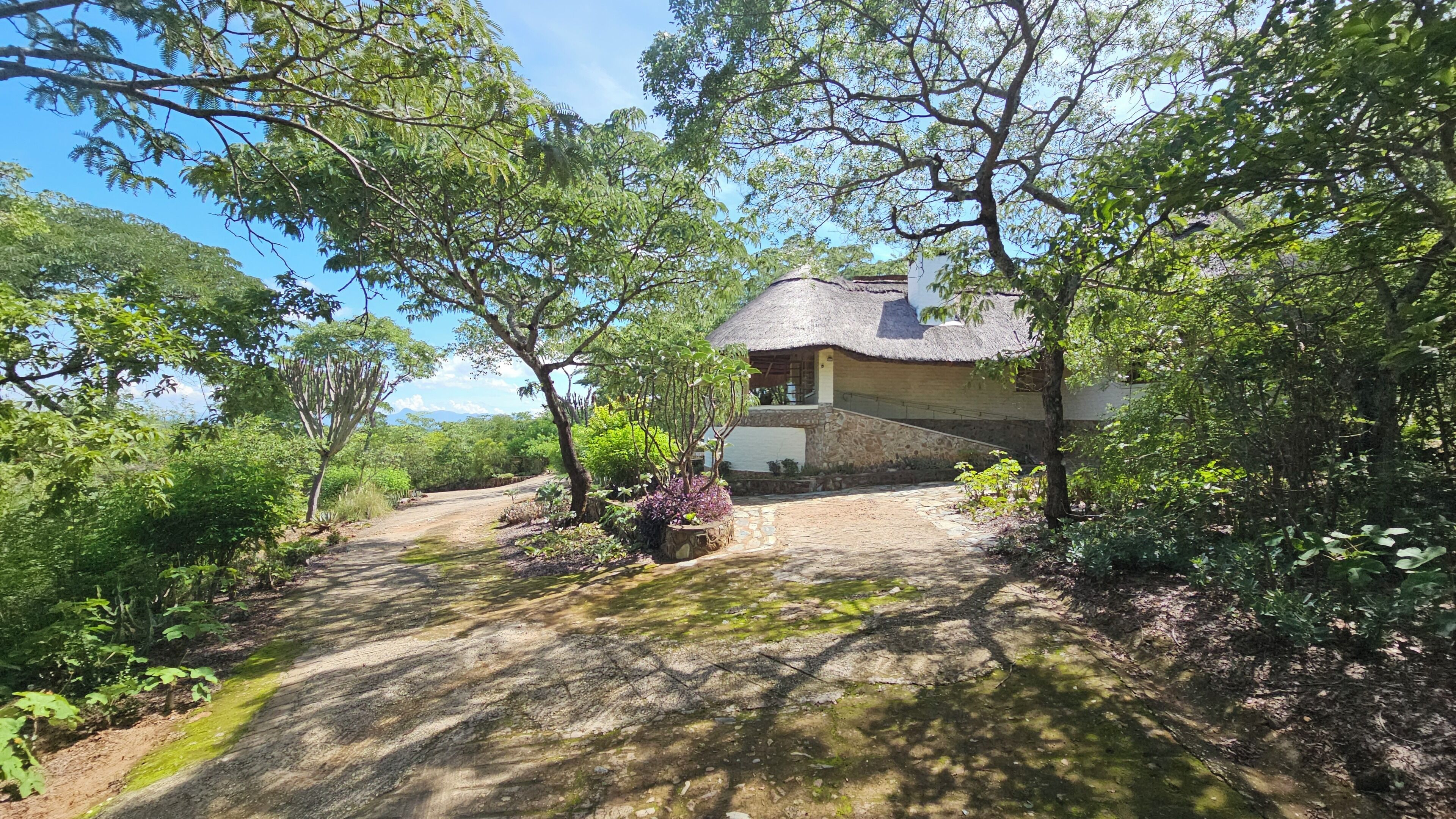 A rustic house with a thatched roof, surrounded by lush greenery and a dirt path leading to it.