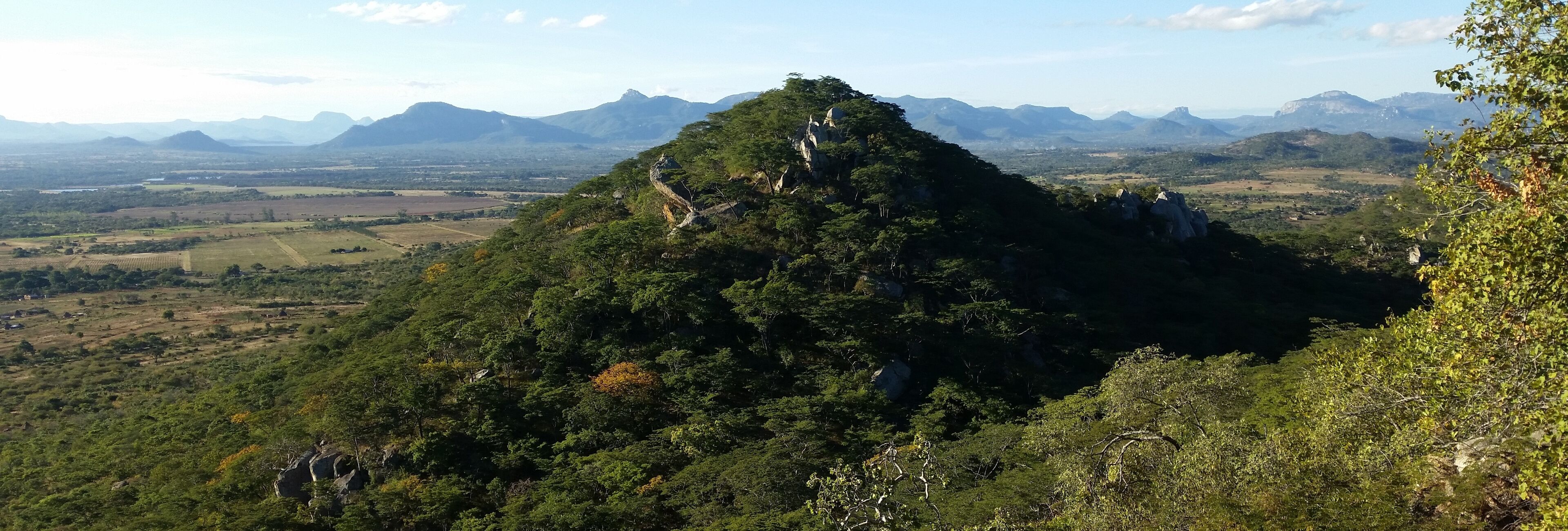 A mountainous landscape with dense forest and rocky outcrops.