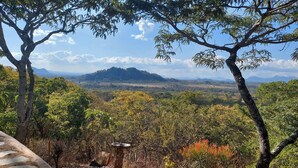 A natural landscape with trees and a distant mountain range.
