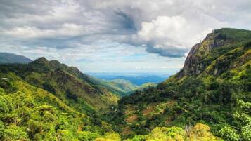 Mountain view