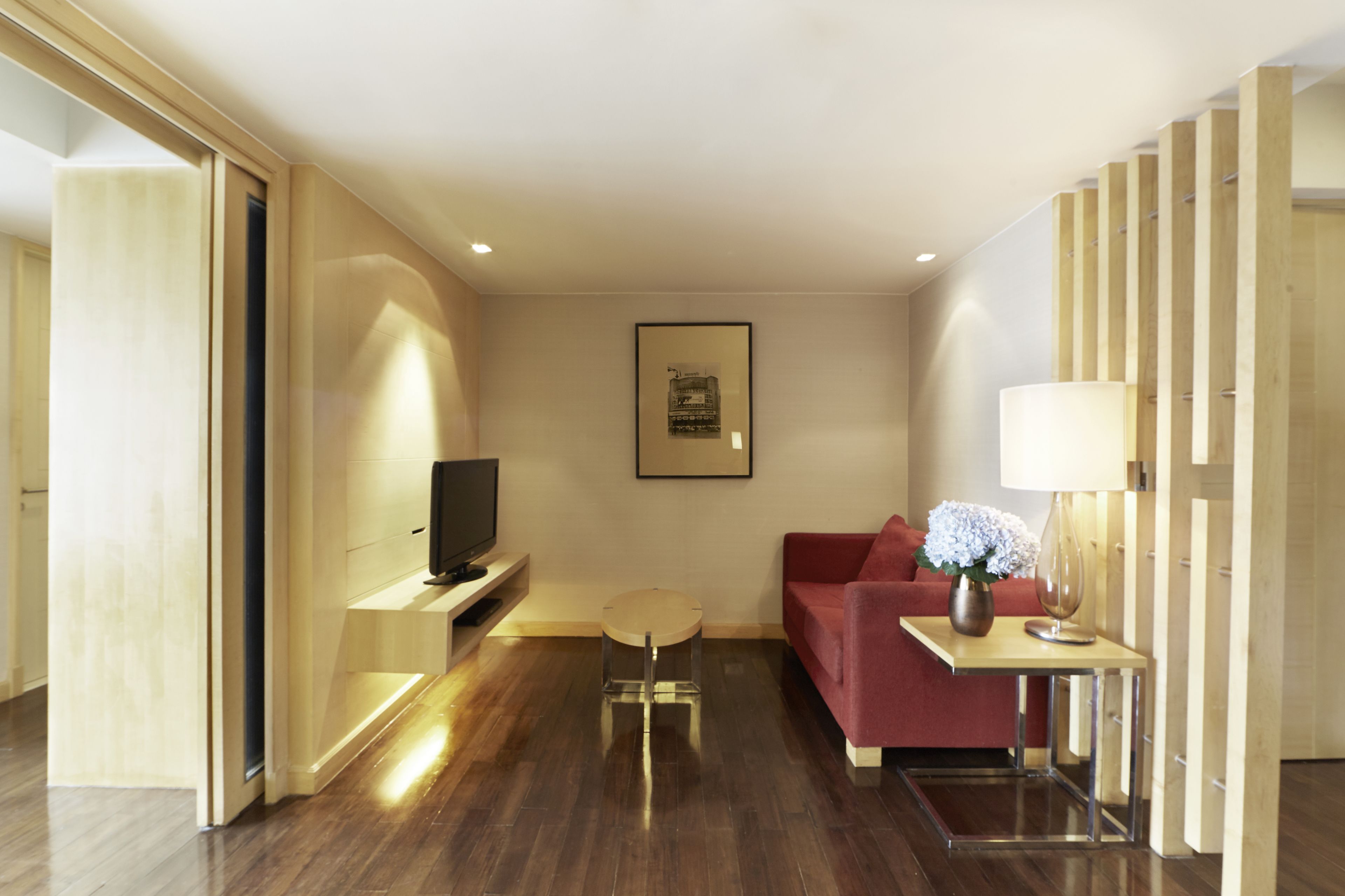 premium suite one bedroom (lake view) | living area | 32-inch flat-screen tv with satellite channels, tv, dvd player