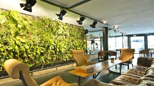 Un área de descanso moderna con una pared verde, asientos de cuero y una mesa de madera.