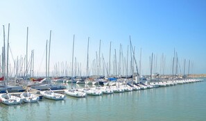 Lake - Eklo Hotels Le Havre (Le Havre)